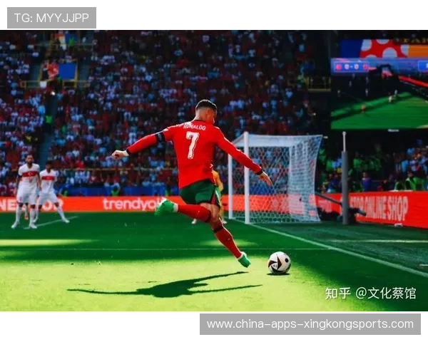 球员在欧洲杯赛场上被誉为“绿茵新星”：新星崛起的背后故事